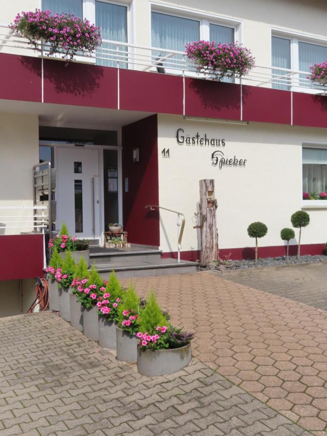 Gaestehaus Spieker Horn-Bad Meinberg Ngoại thất bức ảnh